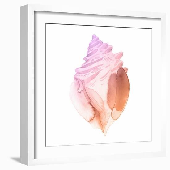 Sunset Conch II-Jacob Green-Framed Art Print