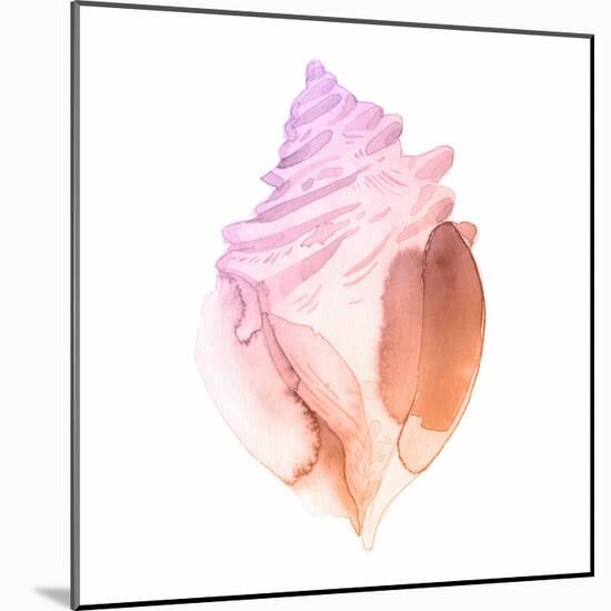 Sunset Conch II-Jacob Green-Mounted Art Print