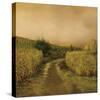 Sunset Cornfield-Dawne Polis-Stretched Canvas