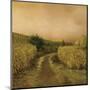 Sunset Cornfield-Dawne Polis-Mounted Art Print