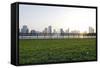 Sunset, Corniche Street, Golden Mile, Skyline, Backlight-Axel Schmies-Framed Stretched Canvas