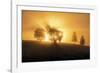 Sunset Crescendo-Andreas Stridsberg-Framed Giclee Print