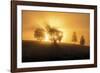 Sunset Crescendo-Andreas Stridsberg-Framed Giclee Print