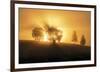 Sunset Crescendo-Andreas Stridsberg-Framed Giclee Print