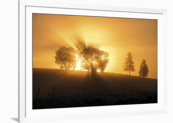 Sunset Crescendo-Andreas Stridsberg-Framed Giclee Print