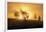 Sunset Crescendo-Andreas Stridsberg-Framed Giclee Print