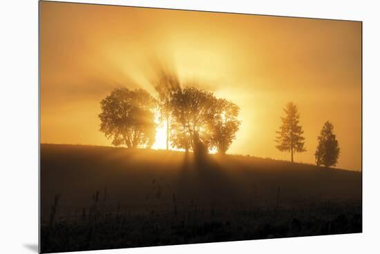 Sunset Crescendo-Andreas Stridsberg-Mounted Giclee Print