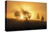 Sunset Crescendo-Andreas Stridsberg-Stretched Canvas
