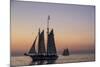 Sunset Cruise on the Western Union Schooner in Key West Florida, USA-Chuck Haney-Mounted Photographic Print