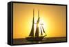 Sunset Cruise Schooner in Key West Florida, USA-Chuck Haney-Framed Stretched Canvas