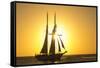 Sunset Cruise Schooner in Key West Florida, USA-Chuck Haney-Framed Stretched Canvas