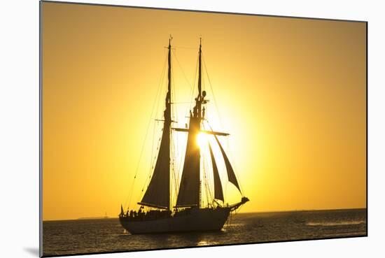 Sunset Cruise Schooner in Key West Florida, USA-Chuck Haney-Mounted Photographic Print