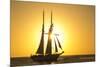 Sunset Cruise Schooner in Key West Florida, USA-Chuck Haney-Mounted Photographic Print