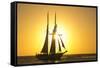 Sunset Cruise Schooner in Key West Florida, USA-Chuck Haney-Framed Stretched Canvas