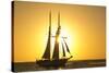 Sunset Cruise Schooner in Key West Florida, USA-Chuck Haney-Stretched Canvas