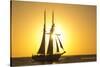 Sunset Cruise Schooner in Key West Florida, USA-Chuck Haney-Stretched Canvas