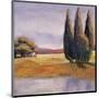 Sunset Cypress-Langford-Mounted Giclee Print
