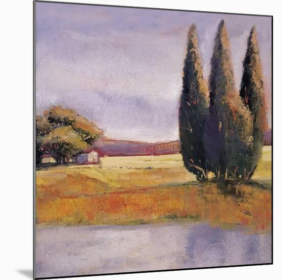 Sunset Cypress-Langford-Mounted Giclee Print