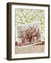 Sunset Dreams-Elizabeth Medley-Framed Art Print