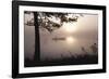 Sunset Drift-Peter Lilja-Framed Giclee Print