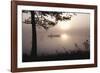 Sunset Drift-Peter Lilja-Framed Giclee Print