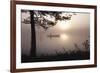 Sunset Drift-Peter Lilja-Framed Giclee Print