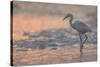 Sunset Fishing-Wink Gaines-Stretched Canvas