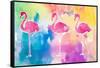 Sunset Flamingo Color Flow-Nola James-Framed Stretched Canvas