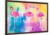 Sunset Flamingo Color Flow-Nola James-Framed Art Print