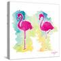 Sunset Flamingo-Nola James-Stretched Canvas