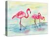 Sunset Flamingoes I-Beverly Dyer-Stretched Canvas