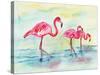 Sunset Flamingoes I-Beverly Dyer-Stretched Canvas