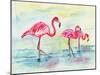 Sunset Flamingoes I-Beverly Dyer-Mounted Art Print