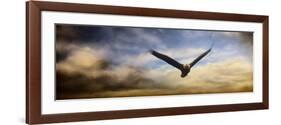 Sunset Flight-Jai Johnson-Framed Premium Giclee Print