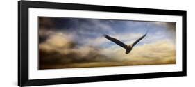 Sunset Flight-Jai Johnson-Framed Premium Giclee Print