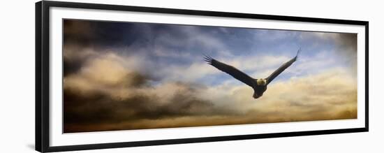 Sunset Flight-Jai Johnson-Framed Premium Giclee Print