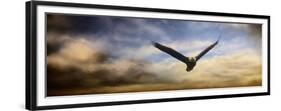 Sunset Flight-Jai Johnson-Framed Premium Giclee Print