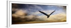 Sunset Flight-Jai Johnson-Framed Premium Giclee Print