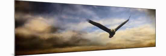 Sunset Flight-Jai Johnson-Mounted Premium Giclee Print