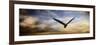 Sunset Flight-Jai Johnson-Framed Giclee Print