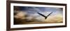 Sunset Flight-Jai Johnson-Framed Premium Giclee Print