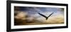 Sunset Flight-Jai Johnson-Framed Premium Giclee Print