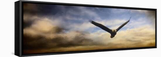 Sunset Flight-Jai Johnson-Framed Stretched Canvas
