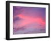 Sunset, Florida, USA-Lisa S. Engelbrecht-Framed Photographic Print