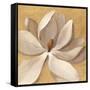 Sunset Flower I on Gold-Silvia Vassileva-Framed Stretched Canvas