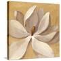 Sunset Flower I on Gold-Silvia Vassileva-Stretched Canvas