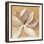 Sunset Flower I on Gold-Silvia Vassileva-Framed Art Print