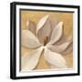 Sunset Flower I on Gold-Silvia Vassileva-Framed Art Print