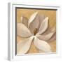 Sunset Flower I on Gold-Silvia Vassileva-Framed Art Print