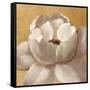 Sunset Flower II on Gold-Silvia Vassileva-Framed Stretched Canvas